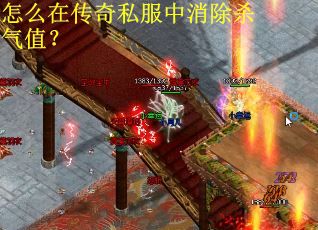 怎么在传奇私服中消除杀气值？