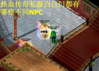 热血传奇私服白日门都有哪些不同NPC
