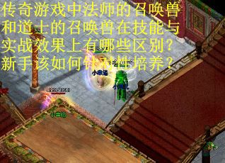 传奇游戏中法师的召唤兽和道士的召唤兽在技能与实战效果上有哪些区别？新手该如何针对性培养？