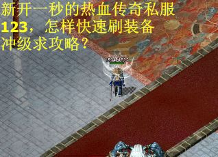 新开一秒的热血传奇私服123，怎样快速刷装备冲级求攻略？