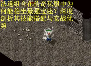 法道组合在传奇私服中为何能稳坐最强宝座？深度剖析其技能搭配与实战优势