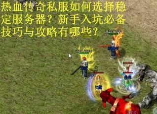 热血传奇私服如何选择稳定服务器？新手入坑必备技巧与攻略有哪些？