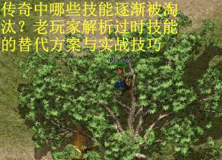 传奇中哪些技能逐渐被淘汰？老玩家解析过时技能的替代方案与实战技巧
