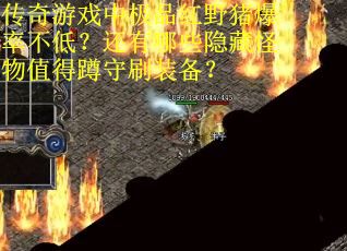 传奇游戏中极品红野猪爆率不低？还有哪些隐藏怪物值得蹲守刷装备？