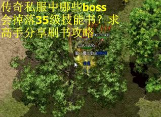 传奇私服中哪些boss会掉落35级技能书？求高手分享刷书攻略