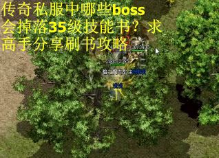 传奇私服中哪些boss会掉落35级技能书？求高手分享刷书攻略