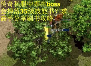 传奇私服中哪些boss会掉落35级技能书？求高手分享刷书攻略