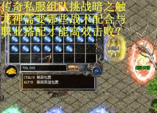 传奇私服组队挑战暗之触龙神需要哪些战术配合与职业搭配才能高效击败？