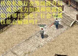 传奇私服行会等级提升后，成员战力加成和资源获取有哪些变化？行会专属技能会解锁吗？