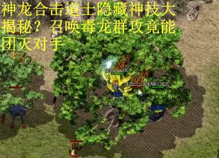神龙合击道士隐藏神技大揭秘？召唤毒龙群攻竟能团灭对手