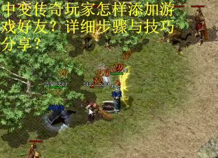 中变传奇玩家怎样添加游戏好友？详细步骤与技巧分享？