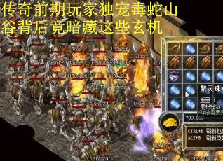 传奇前期玩家独宠毒蛇山谷背后竟暗藏这些玄机