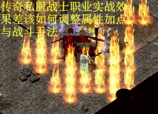 传奇私服战士职业实战效果差该如何调整属性加点与战斗手法