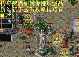 传奇酿酒如何保持顶级品质？新手必看攻略技巧有哪些？