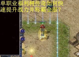 单职业福利树传奇如何快速提升战力并称霸全服？