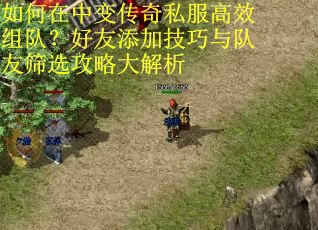 如何在中变传奇私服高效组队？好友添加技巧与队友筛选攻略大解析