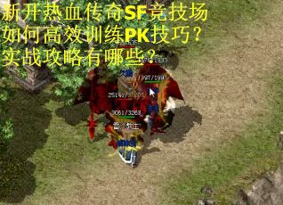 新开热血传奇SF竞技场如何高效训练PK技巧？实战攻略有哪些？