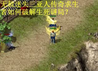 无赦迷失三亚人传奇求生者如何破解生死谜局？