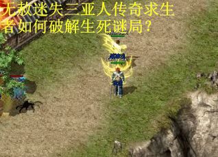 无赦迷失三亚人传奇求生者如何破解生死谜局？