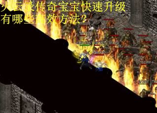 火云录传奇宝宝快速升级有哪些高效方法？
