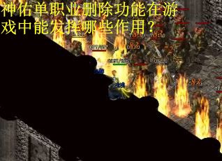 神佑单职业删除功能在游戏中能发挥哪些作用？