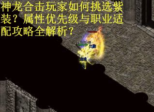 神龙合击玩家如何挑选紫装？属性优先级与职业适配攻略全解析？