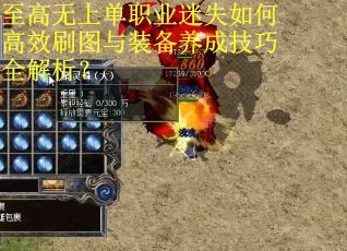 至高无上单职业迷失如何高效刷图与装备养成技巧全解析？