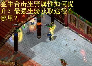 金牛合击坐骑属性如何提升？最强坐骑获取途径在哪里？