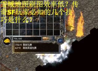 雪域地图刷图效率低？传奇SF玩家必知的几个技巧是什么？