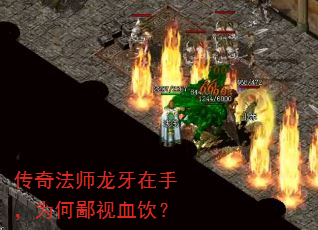 淨ʦ֣ΪαѪ