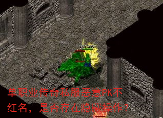 ְҵ˽PKǷز