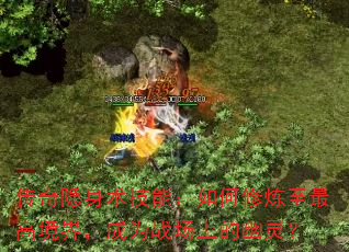 ܣ߾磬Ϊսϵ飿