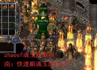 zhaosfȡָϣˢؾ