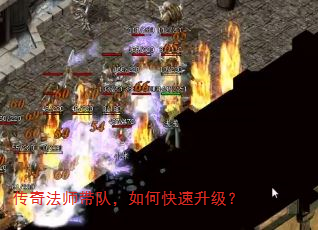 淨ʦӣο