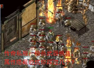 ˽ƷѡصĿȹ