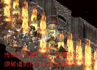 ʯĹʬЩ֪ļɺע