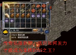 ˽ڣʦηܳΪBOSS֮