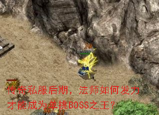 ˽ڣʦηܳΪBOSS֮