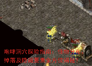 Ѩָ̽ϣֲ估Ҫȫλأ