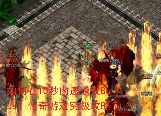 10ɱ˫BossϷԣ