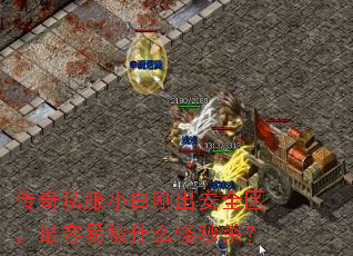 ˽С׸ճȫױʲôɱ