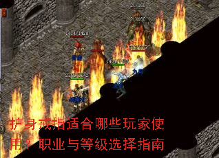 ָʺЩʹãְҵȼѡָ