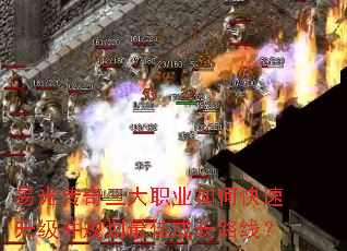 ׹⴫ְҵο滮ѳɳ·ߣ