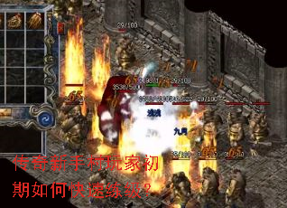 ִҳο