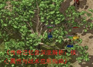 ȽսӦָϡ