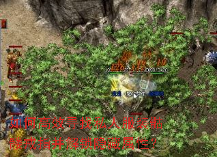 θЧѰ˽˷װýָԣ