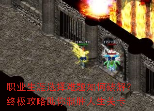 ְҵѡƽ⣿ռʤؿ