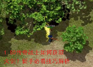 1.80传奇战士如何获取火剑?新手必看技巧解析 1.80传奇战士如何获取火剑?新手必看技巧解析