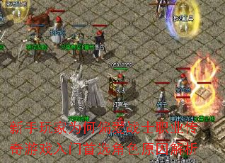 新手玩家为何偏爱战士职业传奇游戏入门首选角色原因解析 新手玩家为何偏爱战士职业传奇游戏入门首选角色原因解析