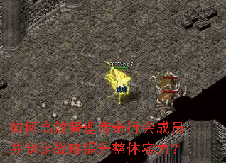 如何高效管理传奇行会成员并制定战略提升整体实力? 如何高效管理传奇行会成员并制定战略提升整体实力?